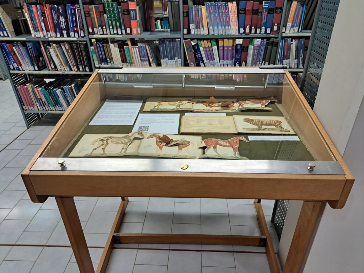Esposizione volumi del Fondo Antico della Biblioteca Veterinaria Ercolani di Bologna