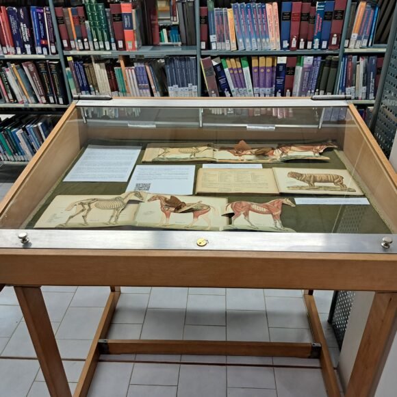 Biblioteca Ercolani di Bologna-Esposizione Esposizione volumi del Fondo Antico della Biblioteca Veterinaria Ercolani di Bologna
